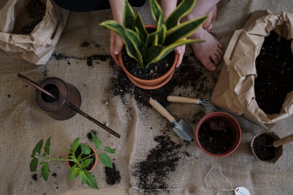 garten aufwerten pflanzkuebel