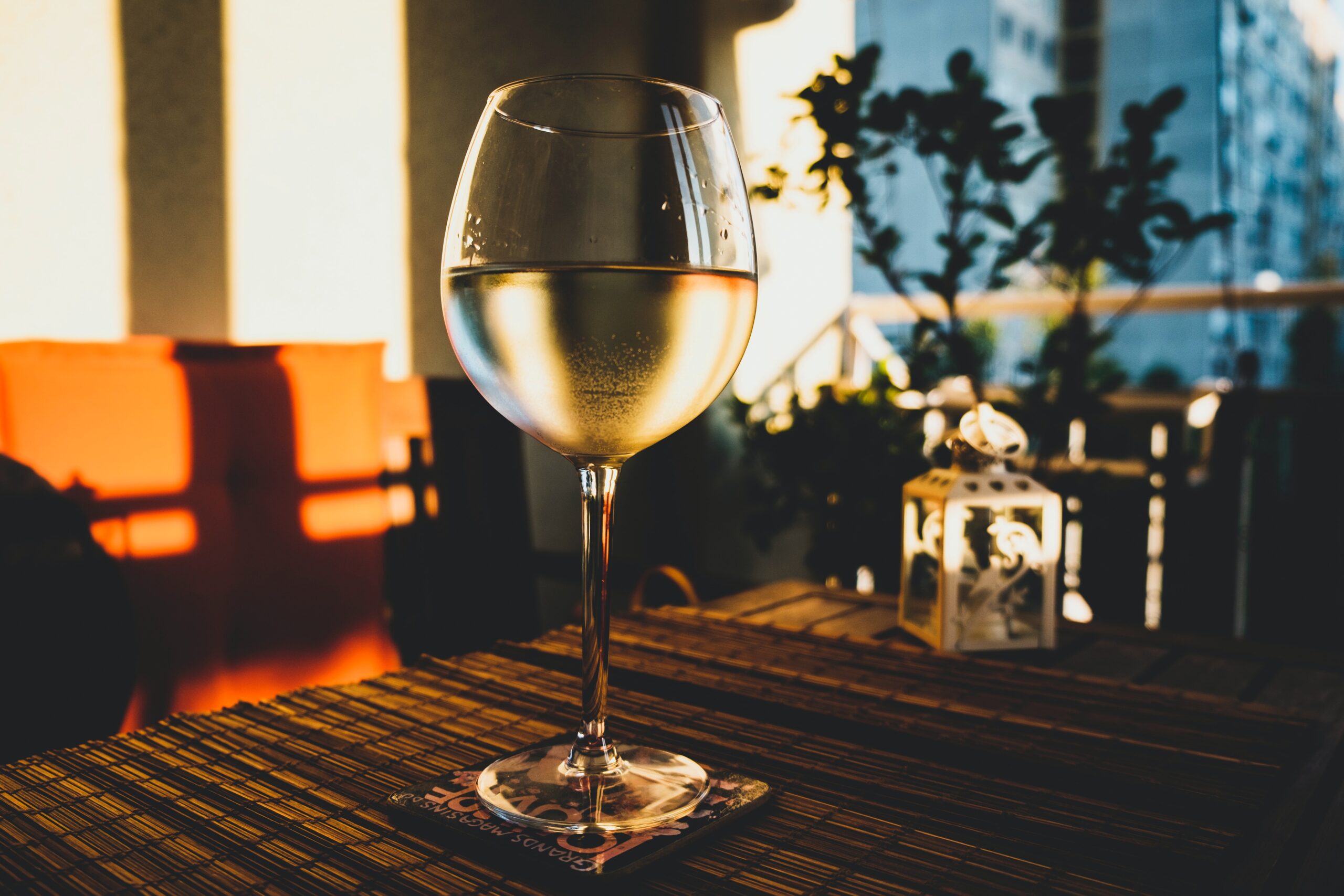 Read more about the article Auf Entdeckungsreise durch die Vielfalt der Rhône-Weine: Eine Verkostung der Geschmacksvielfalt