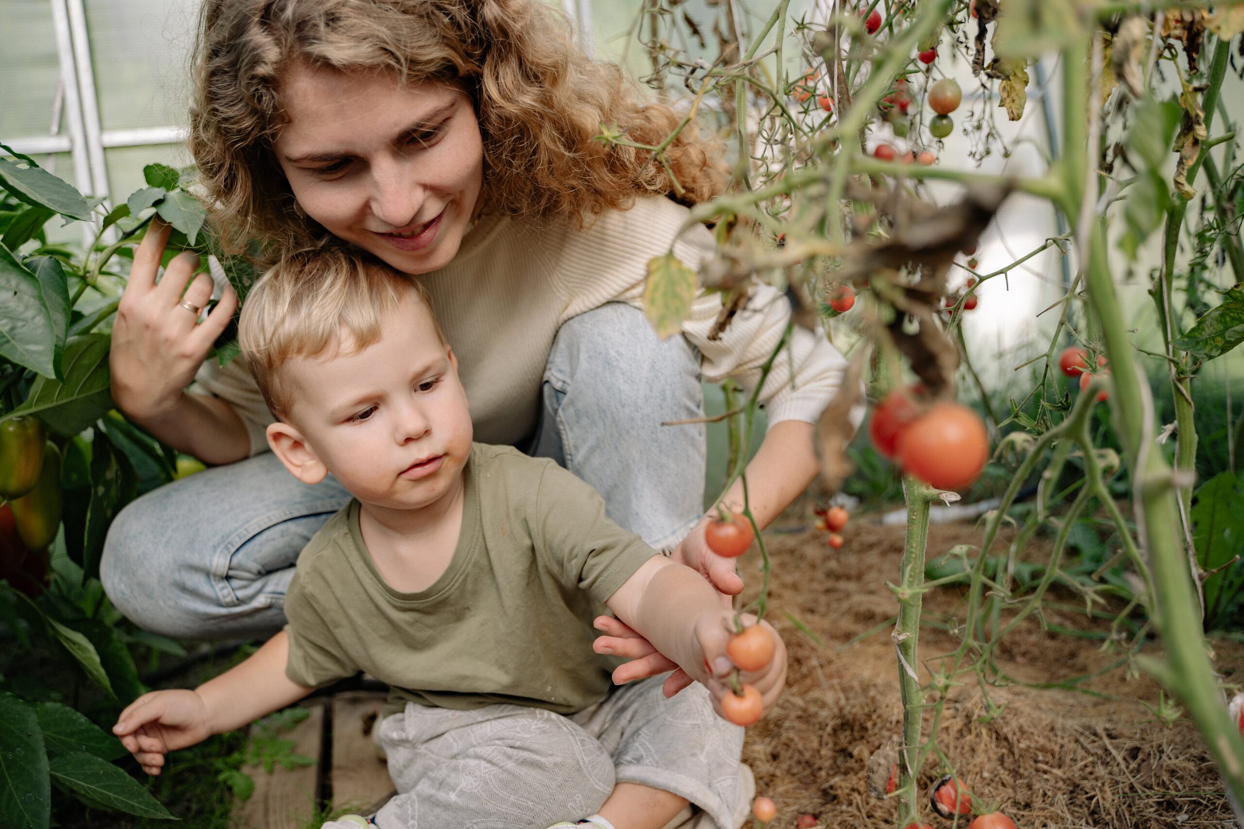 Mehr über den Artikel erfahren Natürliche Gartengestaltung: Ideen für Ihren Garten