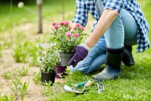 Mehr über den Artikel erfahren Kreativ im Grünen – wie Gartenideen zur Auszeit werden