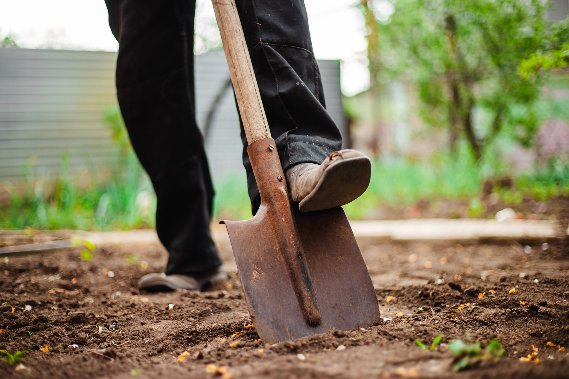Gartenspaten in lockerer Erde | Gartendeko Rost  