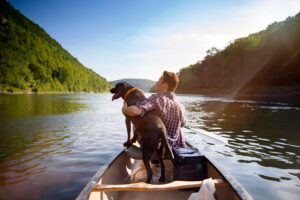 Mehr über den Artikel erfahren Freizeitideen mit Hund – Bewegung, Spaß und Abwechslung