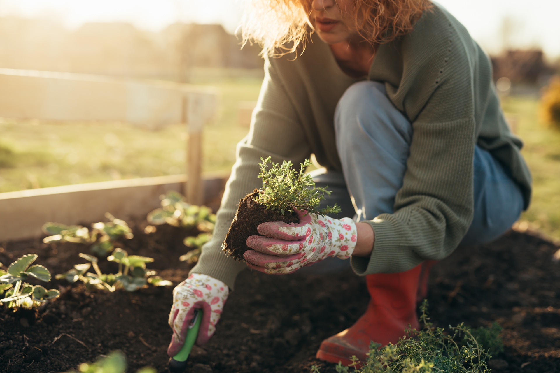 Mehr über den Artikel erfahren Ideen für entspannte Stunden im heimischen Garten